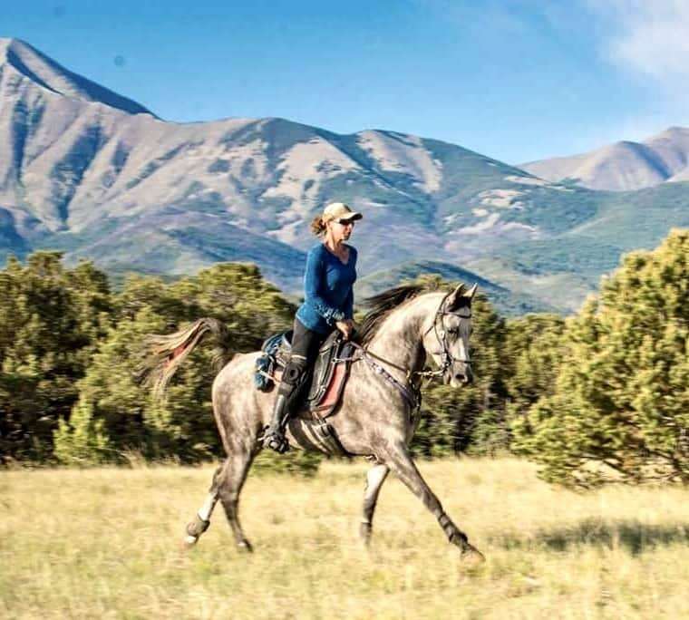 Top endurance rider Tammy Gagnon riding her gray horse in a Freeform Classic Cutback Treeless Saddle in open country.