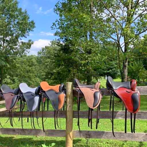 Six Freeform treeless saddles on a fence - lovely color combinations.