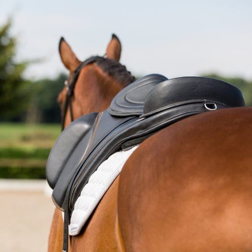 Freeform treeless saddles offer a saddle demo program.