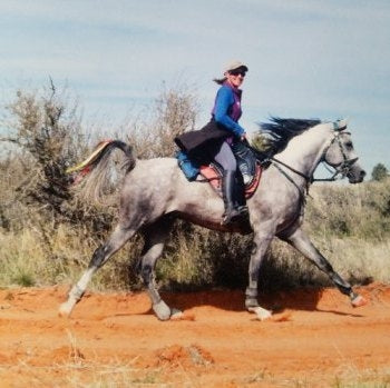 Freeform Classic Treeless Saddle