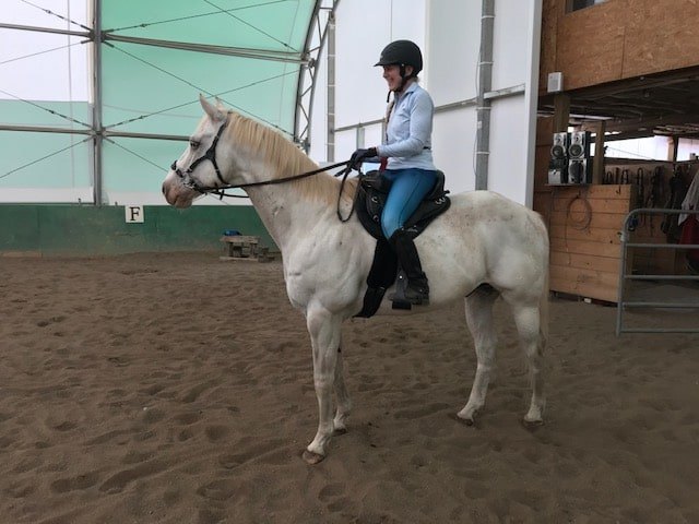 In Love with the Ultimate Trail Saddle & What It's Done for My Horse