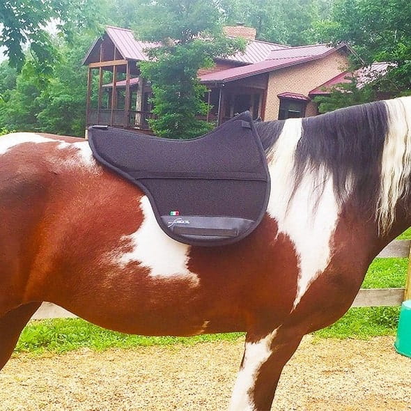 Freeform treeless saddle pad on a brown and white paint horse with a white and black mane.