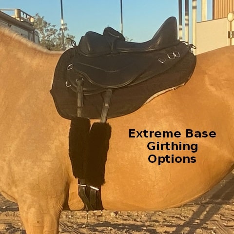 Freeform extreme saddle base with girthing options shown on a palamino horse.